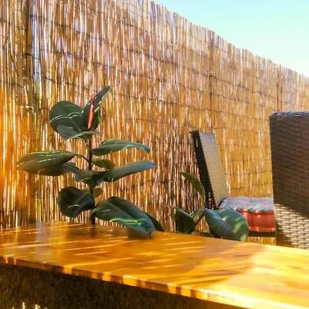 Studio En Corse, Face A La Mer. Grande Terrasse.